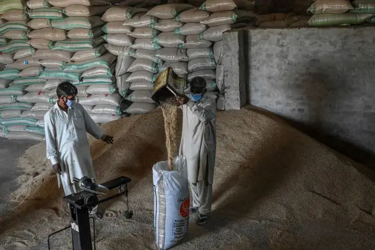 Workers weighing grain and filling sacks in a warehouse