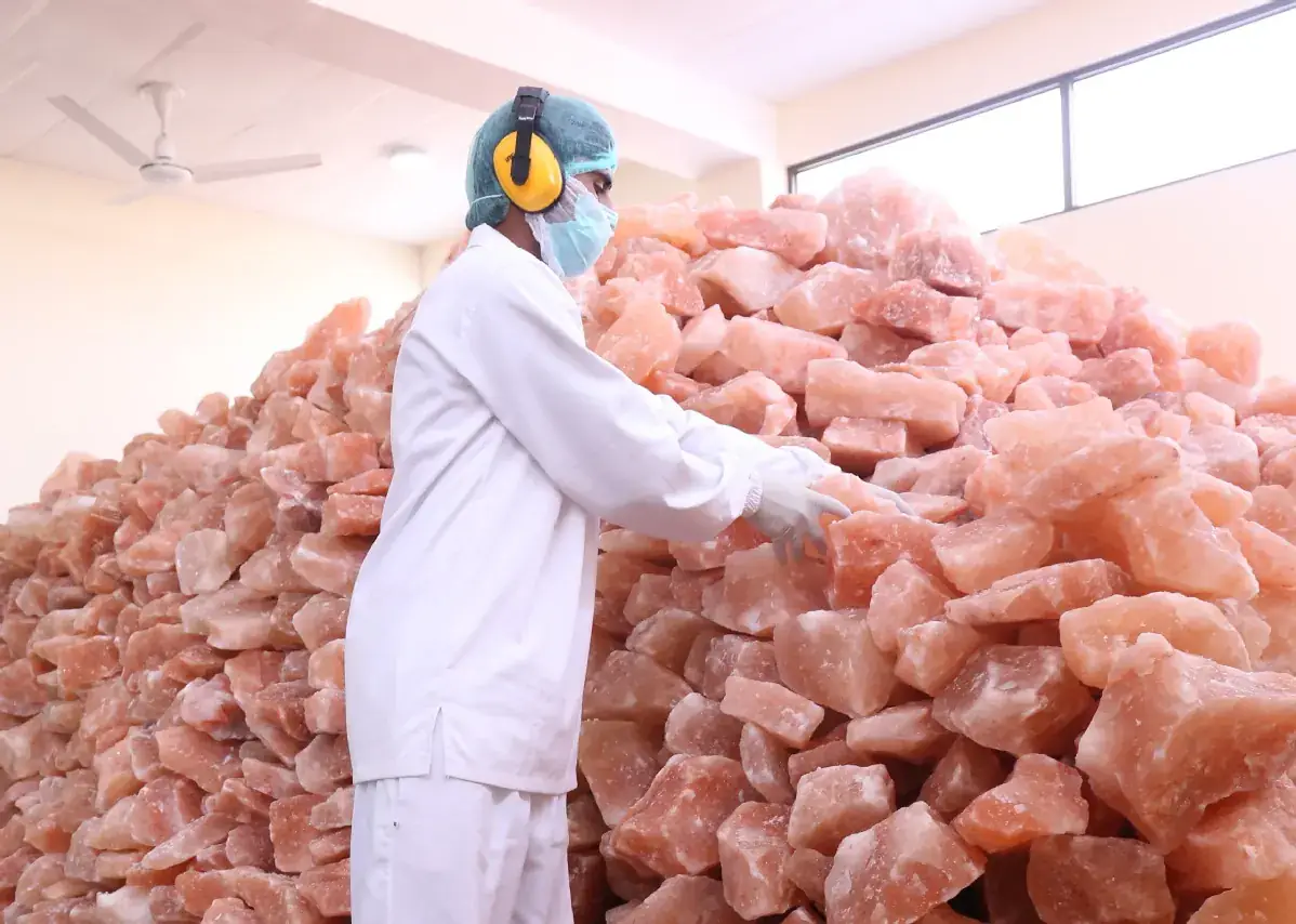Worker in protective clothing sorting pink Himalayan salt rocks